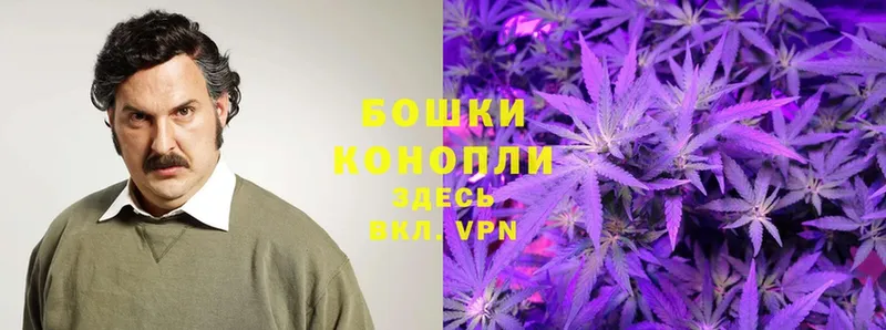 Бошки марихуана OG Kush  KRAKEN как войти  Харовск 